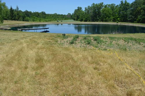 Property photo 9 - 21 Acre Modern Country Estate